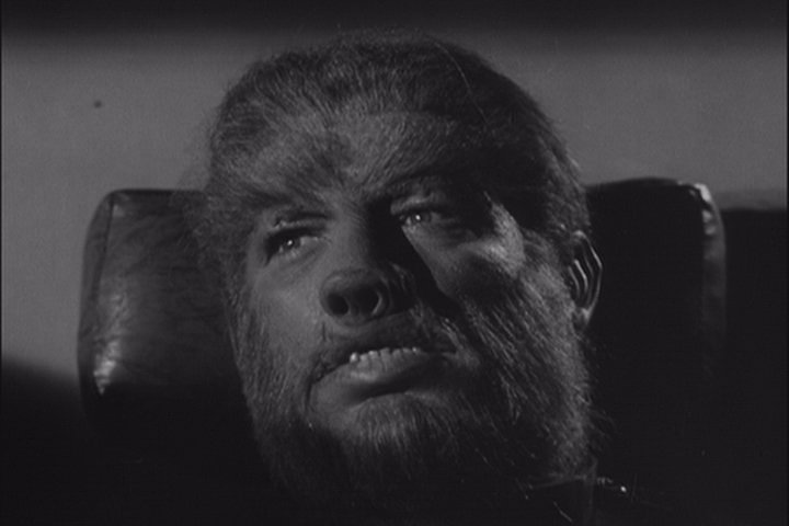 FRANKENSTEIN RENCONTRE LE LOUP-GAROU