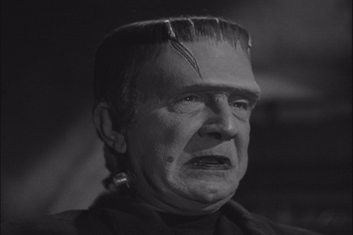 FRANKENSTEIN RENCONTRE LE LOUP-GAROU