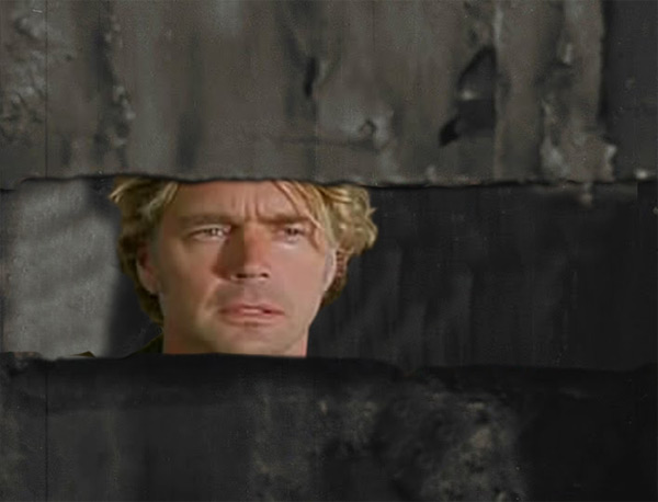 Return of the Killer Shrews