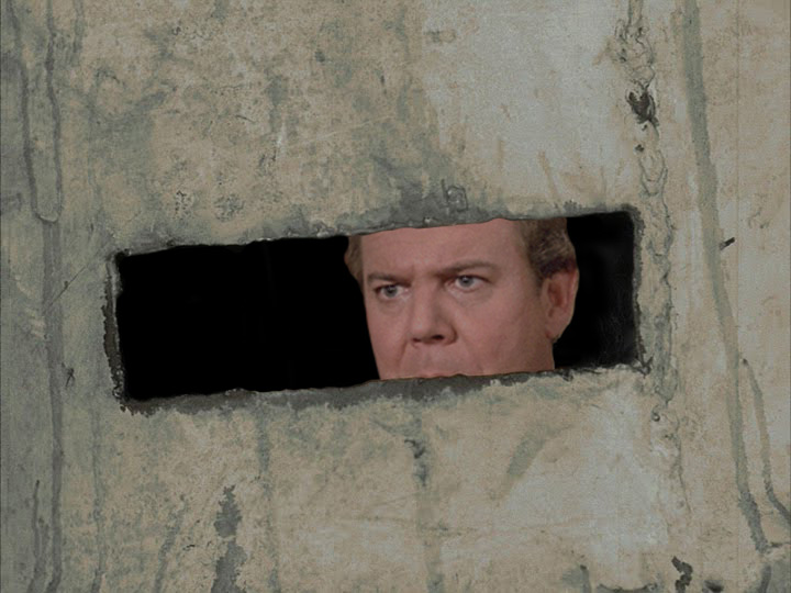 Return of the Killer Shrews