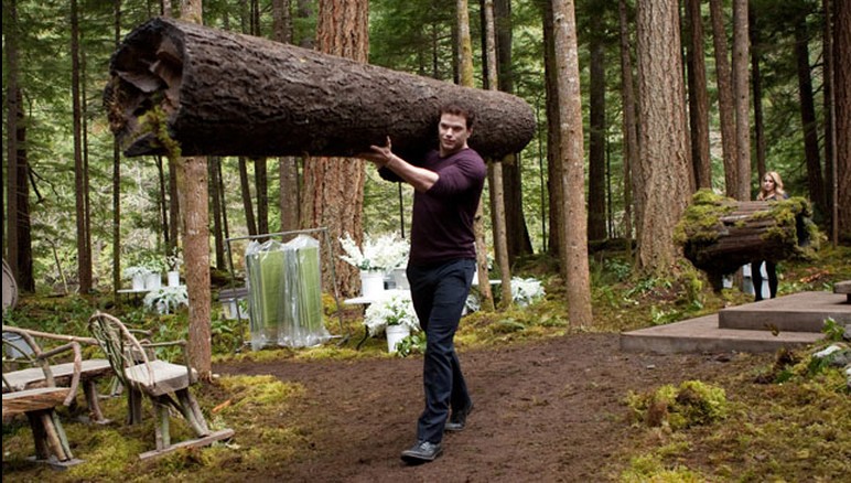 Twilight – Chapitre 4 : Révélation part 1