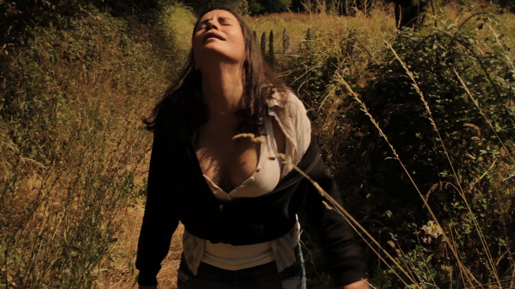 Hidden in the Woods (En las Afueras de la ciudad)