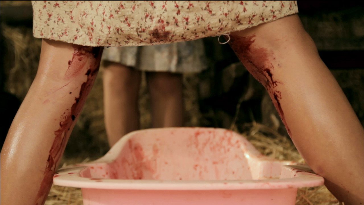 Hidden in the Woods (2011)