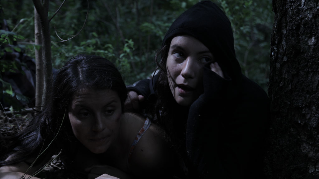 Hidden in the Woods (2011)
