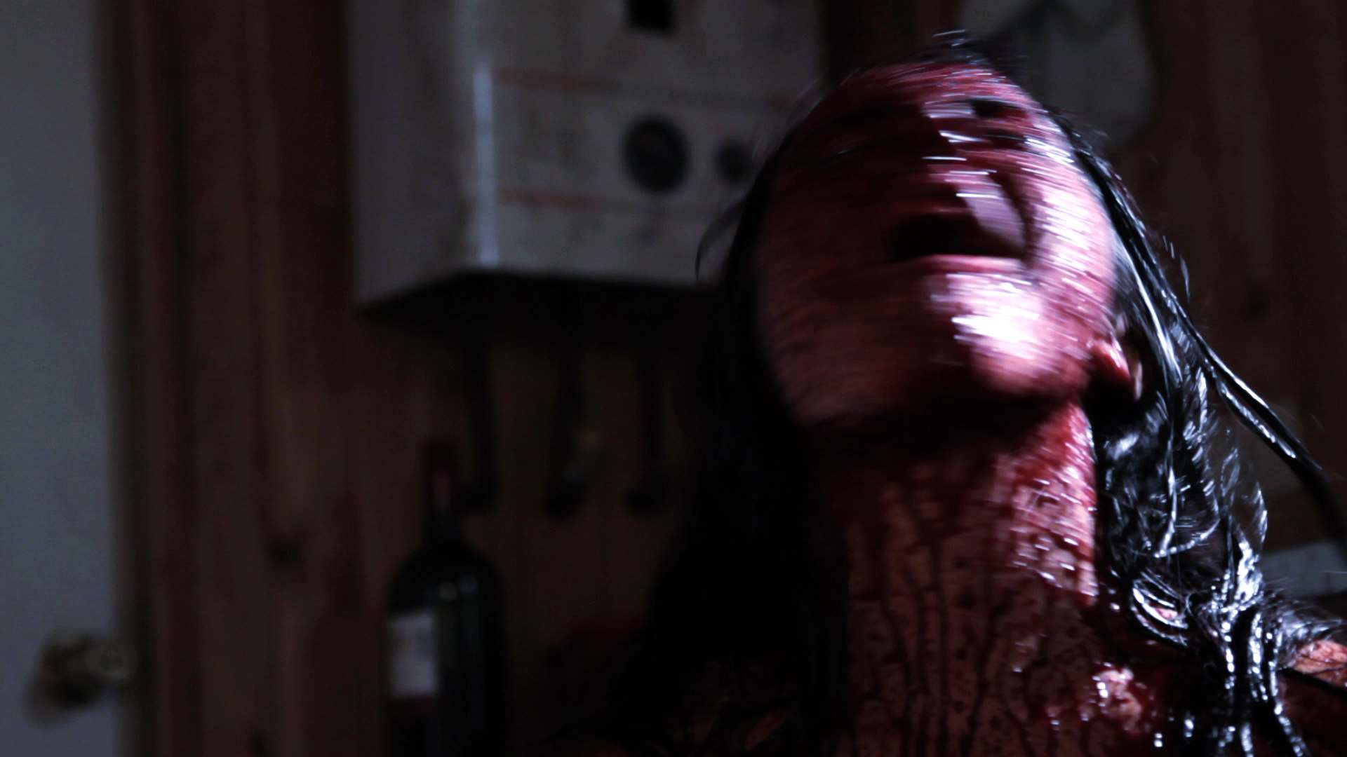 Hidden in the Woods (2011)