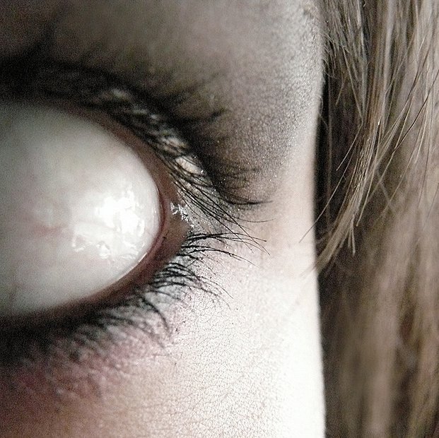 "Zombex" de Jesse Dayton est un film d'horreur musical avec Sid Haig, Malcolm McDowekk et Corey Feldman (voir ci-dessous)