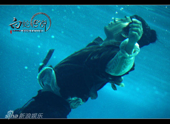 The Sorcerer and the White Snake (2011)