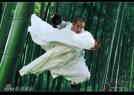 The Sorcerer and the White Snake (2011)