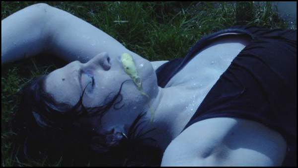 Présenté  le 3 juin dernier au Festival du Film d'Horreur de Pittsburgh, "Lucifer's Unholy Desire" est un nouveau film de possession démoniaque (voir ci-dessous)