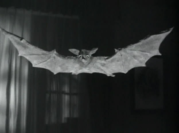 El mondo de los vampiros