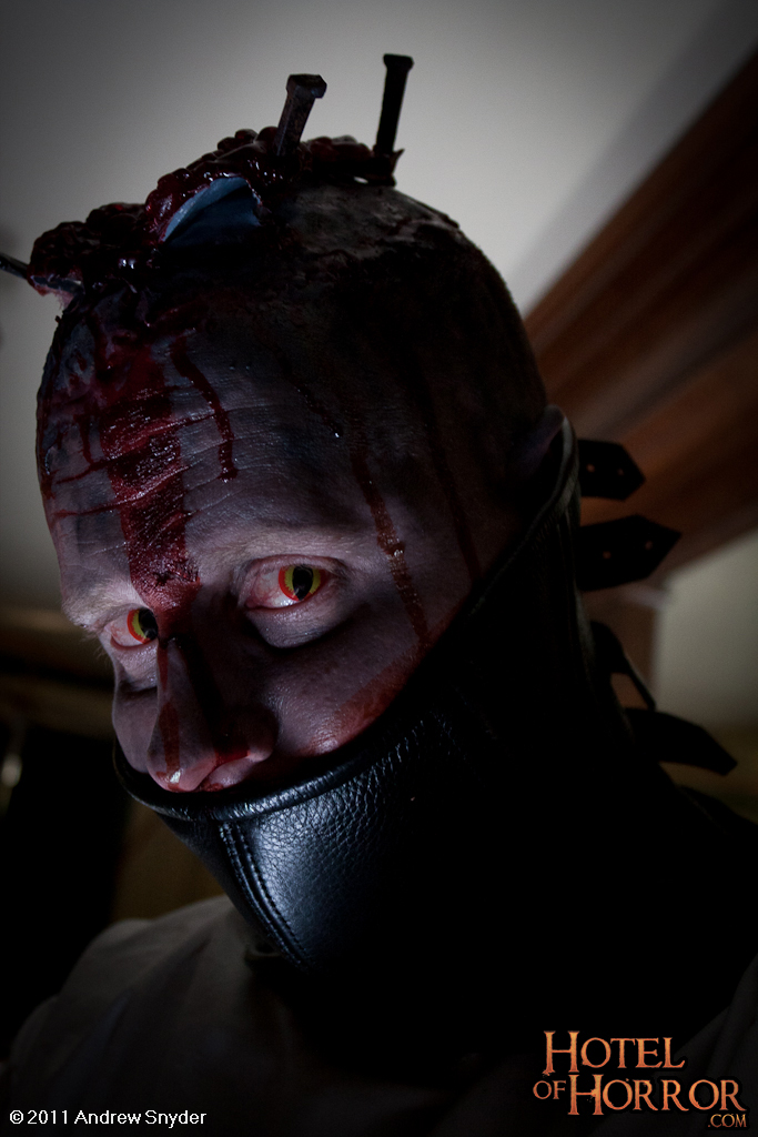 voir ci-dessous la bande-annonce