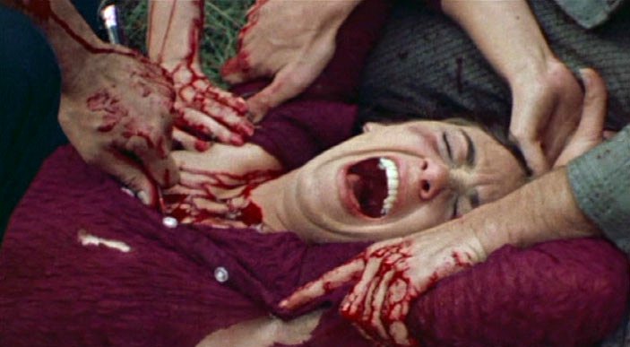 La dernière maison sur la gauche