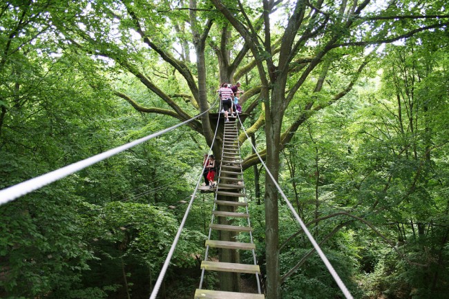 Après le road-movie "Donne-moi la main" (2008), son premier film, Pascal-Alex Vincent prépare pour ce printemps un slasher à la française, "Dans la forêt", avec François Goeske... (suite ci-dessous)