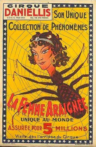 La femme araignée....