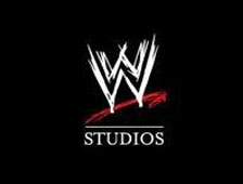 WWW Studios développe son propre documenteur, intitulé "Bemuda"... (voir ci-dessous)