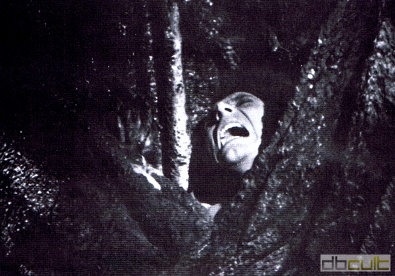 Caltiki, le monstre immortel