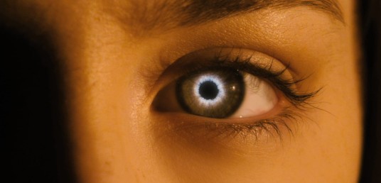 The Host (voir la bande annonce ci-dessous)