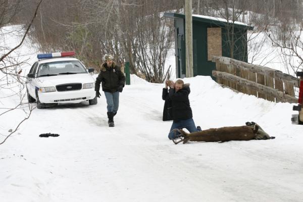 Eddie : The Sleepwalking Cannibal