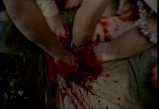 LA TERREUR DES ZOMBIES