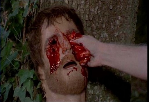 LA TERREUR DES ZOMBIES