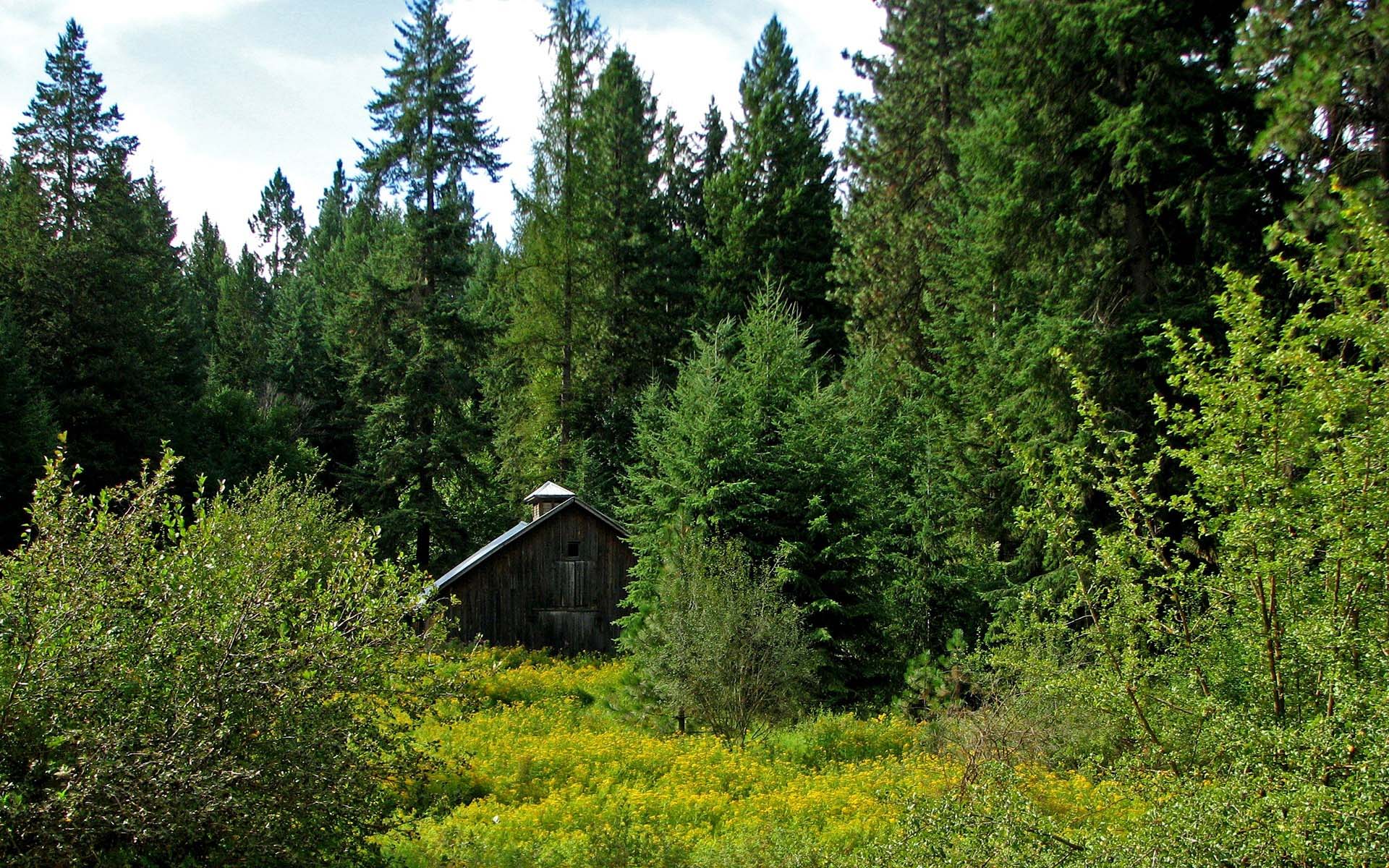 Ecrit et dirigé par Alfonso Acosta, "The Crack" est un récit d'horreur où, un an après le meurtre de la jeune Marcela, sa famille se rend dans une maison de campagne isolée dans l'espoir de panser ses blessures... (voir ci-dessous)