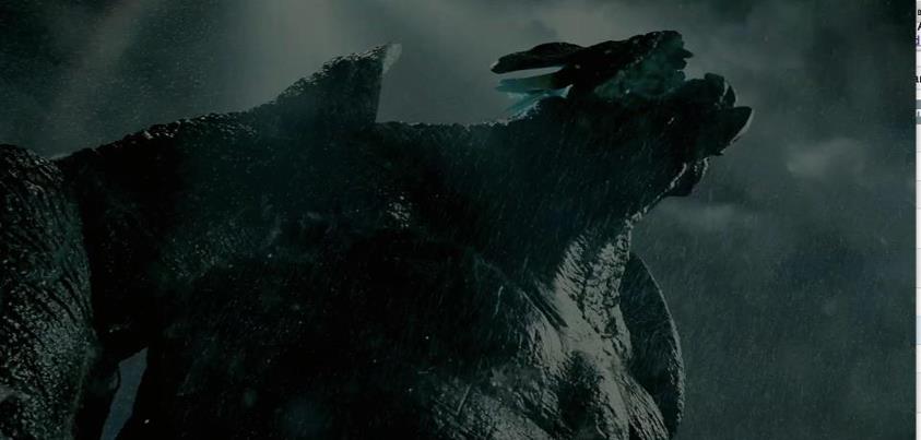 Pacific Rim