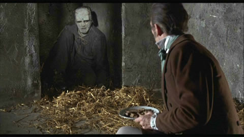 L'EMPREINTE DE FRANKENSTEIN