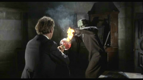 L'Empreinte de Frankenstein