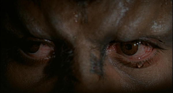 La Nuit du Loup-Garou