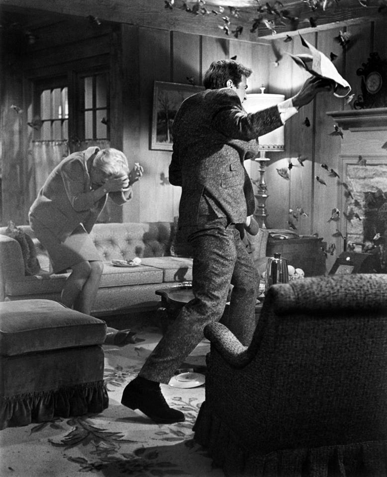 Tippi Hedren & Rod Taylor