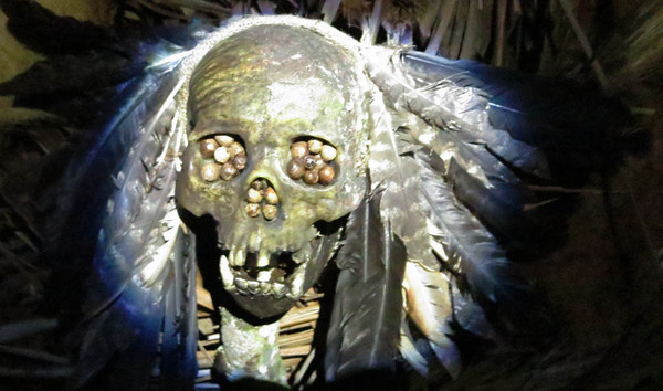 Suite au succès de "Black Water" et de "The Reef", Andrew Traucki a écrit et dirigé "The Jungle"... (voir ci-dessous)