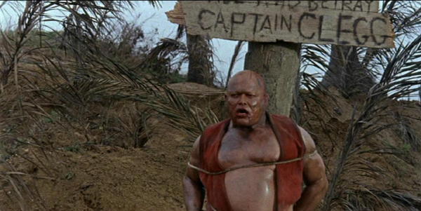 LE FASCINANT CAPITAINE CLEGG