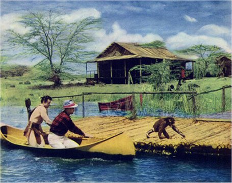 TARZAN LE MAGNIFIQUE