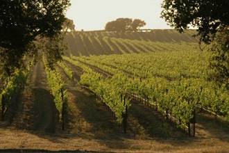 Kevin Greutert, le réalisateur de "Saw 3D" et le producteur Jason Blum ("Sinister" 1 & 2) vont poursuivre leur collaboration avec "Visions" (voir ci-dessous)