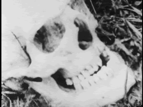 Un nouveau zombie picture en préparation pour 2014/2015 : "19" (voir ci-dessous)