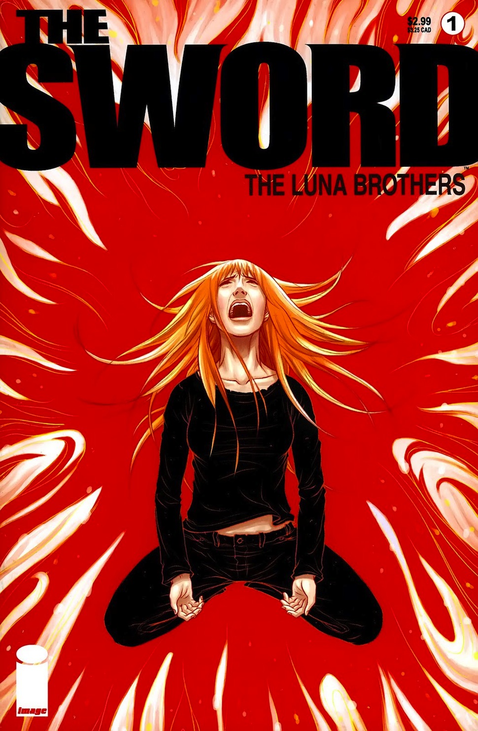 Lakeshore Entertainment et Hopscotch Caractéristiques ont confié à David Hayter (X-Men, Watchmen) le soin d'écrire le scénario de "The Sword", basé sur le roman graphique éponyme de Jonathan et Joshua Luna (voir ci-dessous)