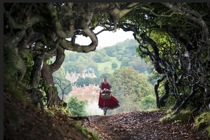 Into the Woods