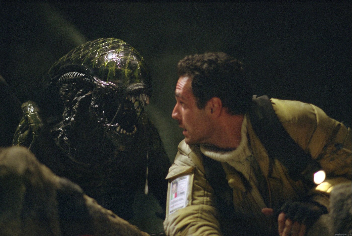 ALIEN VS PREDATOR