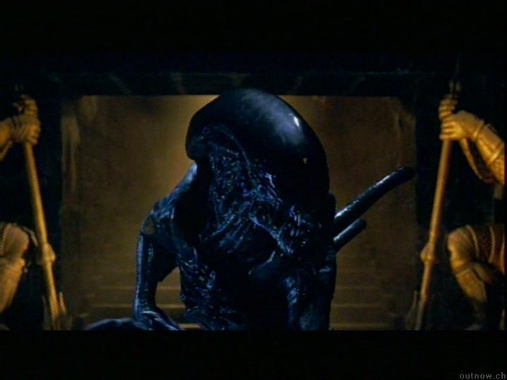 ALIEN VS PREDATOR