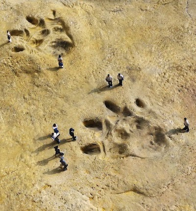 UN KAIJU-EIGA INDEPENDANT (voir ci-dessous)