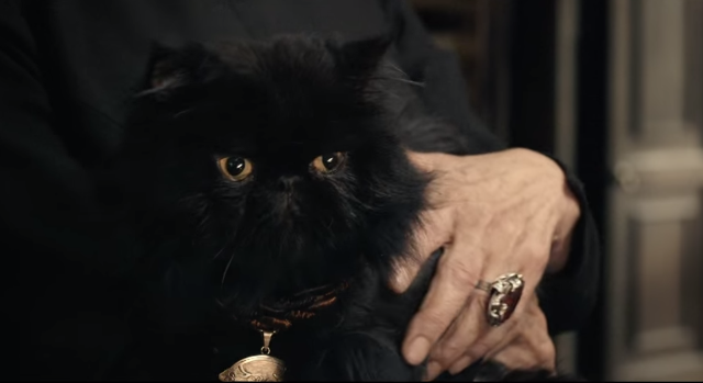 Le classique mexicain de l'horreur "Mas Negro que la noche" vient de faire l'objet d'un remake en 3D coproduit avec l'Espagne... (voir ci-dessous)