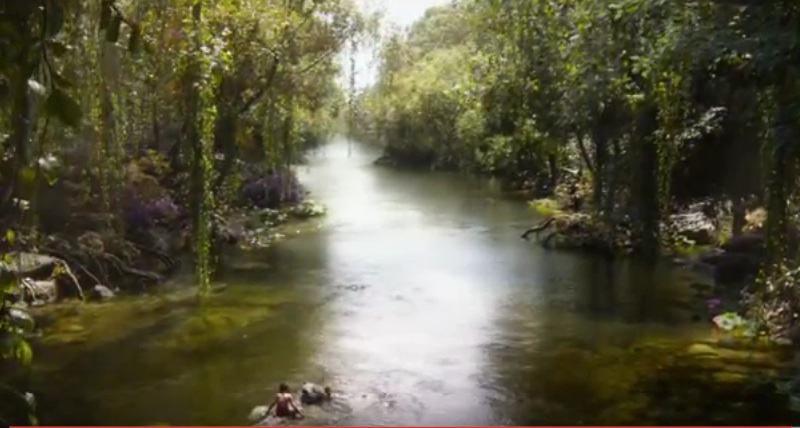 Le Livre de la Jungle