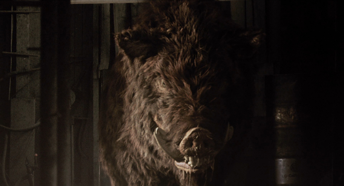 Un rongeur menace le royaume !  (voir ci-dessous)