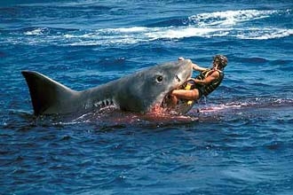 Un nouveau « Les dents de la mer » signé Louis Leterrier…(voir ci-dessous)