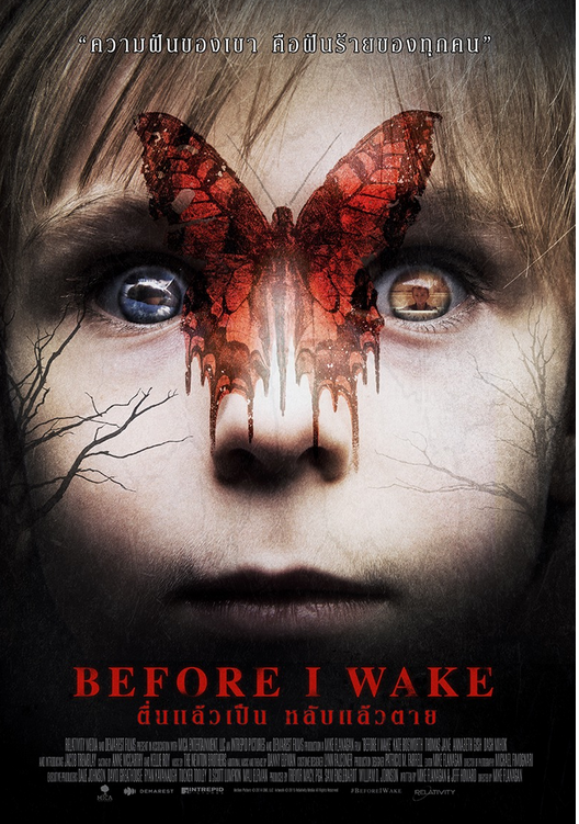 Before I Wake