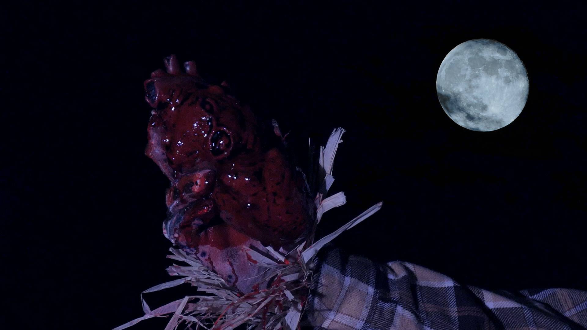 En tournage actuellement, THE MUSK, un slasher italo-américain (voir ci-dessous)