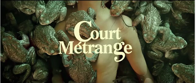 Bande annonce de Court-Métrange 2015 (voir ci-dessous)