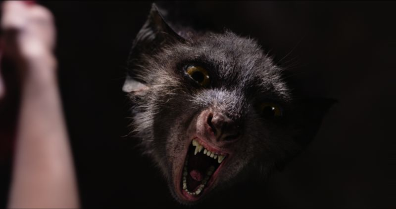 Une love story entre une princesse et un homme-dragon produit par Timur Bekmanbetov, DRAKONY, le plus gros budget du cinéma russe… (voir ci-dessous)