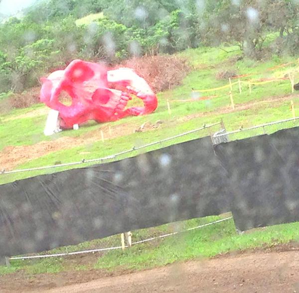 Premières photos sur le tournage de "Kong : Skull Island', commencé hier à Hawaii, les mêmes lieux précédemment utilisés pour "Jurassic World"....