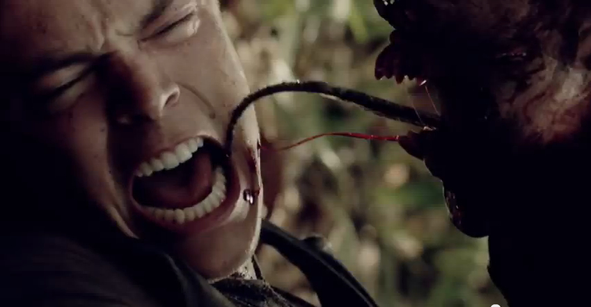 Voyage tragique à Panama pour les touristes de INDIGENOUS… (voir ci-dessous)